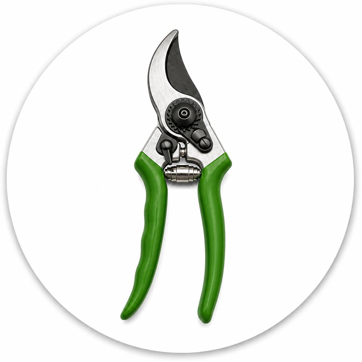 Kéo cắt cành – Dụng cụ tỉa cây và chăm sóc sân vườn